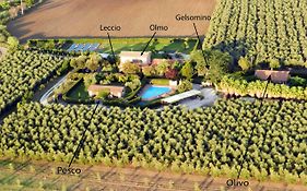 Podere Campi Al Mare