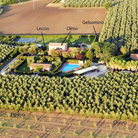 Podere Campi Al Mare Donoratico Buitenkant foto