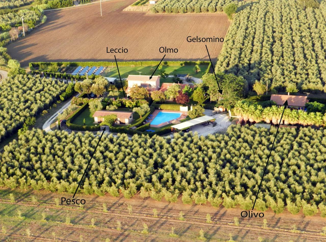 Podere Campi Al Mare Donoratico Buitenkant foto